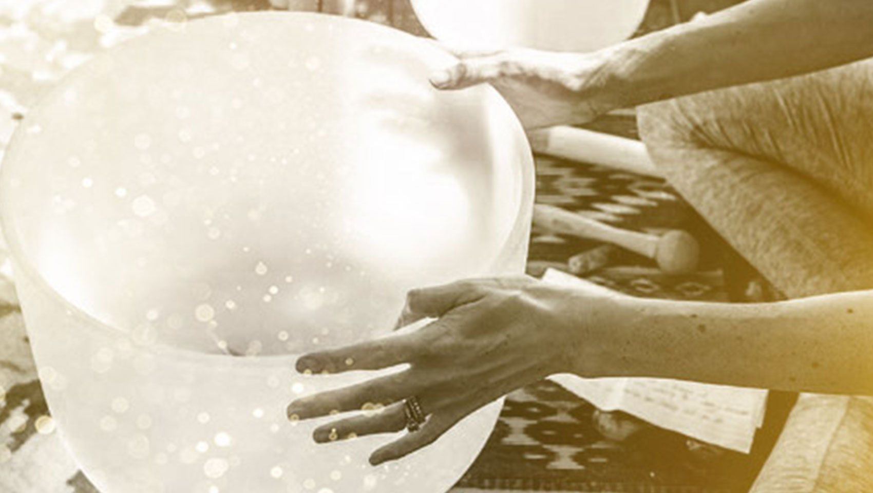 seafire activities over the holidays